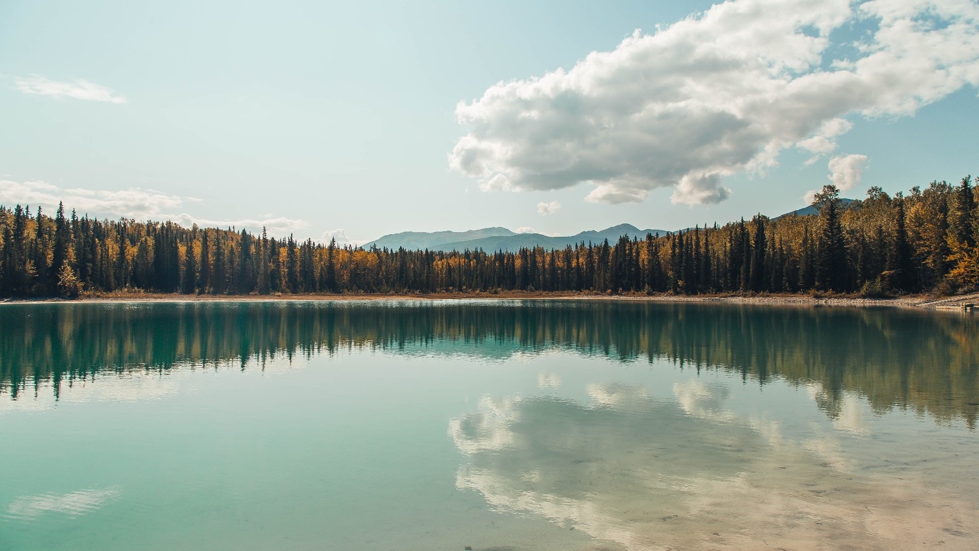 冰岛压制喀麦隆,苏亚雷斯成为关键先生
