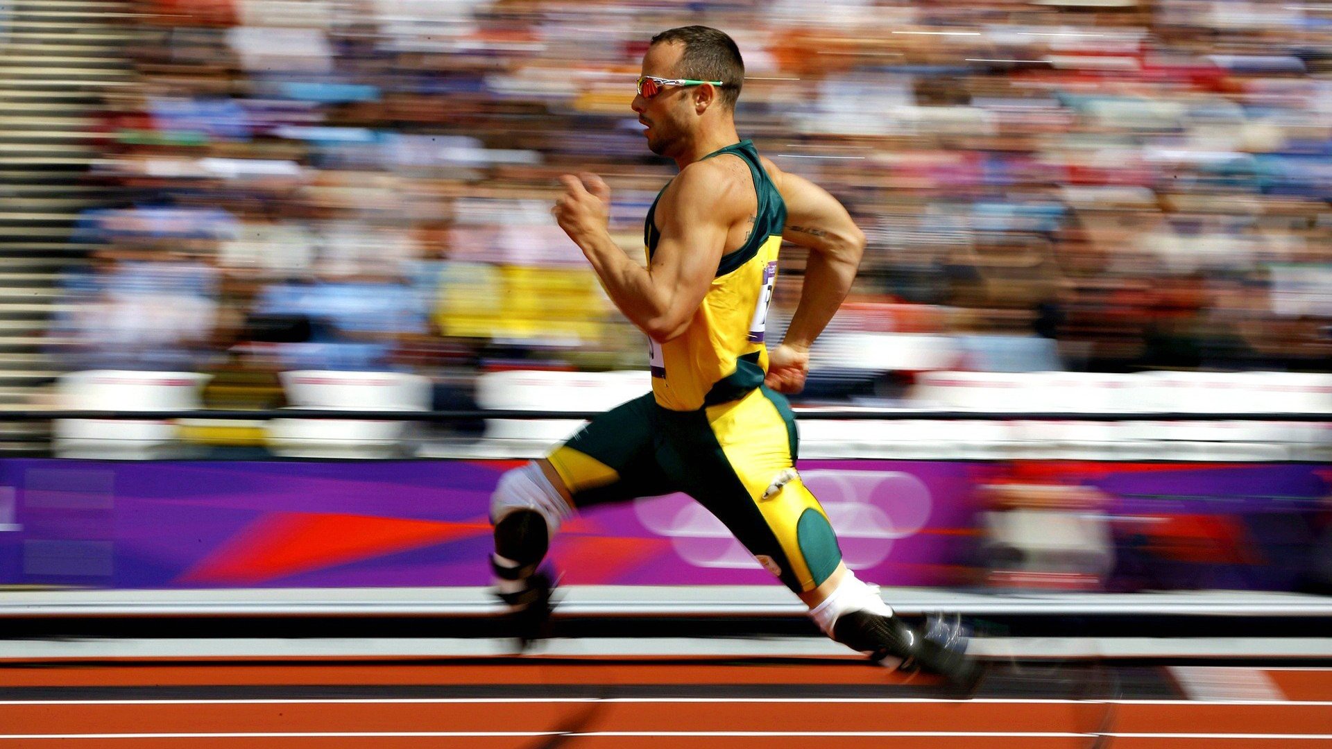 当法兰西绝杀德意志，陈雨菲点燃赛场—体育之夜的奇迹与火焰